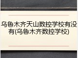 乌鲁木齐天山数控学校有没有(乌鲁木齐数控学校)