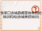张家口赤城县哪里有单招的培训机构(赤城单招培训)