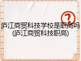 庐江商贸科技学校是职高吗(庐江商贸科技职高)