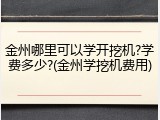 金州哪里可以学开挖机?学费多少?(金州学挖机费用)