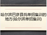 哈尔滨巴彦县找单招集训的地方(哈尔滨单招集训)
