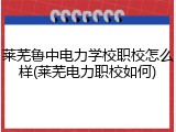 莱芜鲁中电力学校职校怎么样(莱芜电力职校如何)