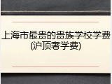 上海市最贵的贵族学校学费(沪顶奢学费)