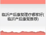 临沂产后康复理疗哪家好(临沂产后康复推荐)