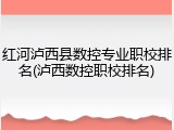 红河泸西县数控专业职校排名(泸西数控职校排名)