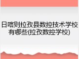 日喀则拉孜县数控技术学校有哪些(拉孜数控学校)