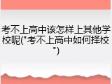考不上高中该怎样上其他学校呢("考不上高中如何择校")