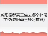 咸阳秦都高三生去哪个补习学校(咸阳高三补习推荐)