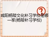 咸阳杨陵文化补习学校是哪一家(杨陵补习学校)