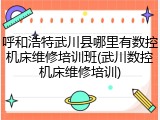 呼和浩特武川县哪里有数控机床维修培训班(武川数控机床维修培训)
