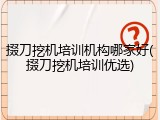 掇刀挖机培训机构哪家好(掇刀挖机培训优选)