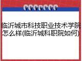 临沂城市科技职业技术学院怎么样(临沂城科职院如何)