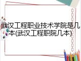 武汉工程职业技术学院是几本(武汉工程职院几本)