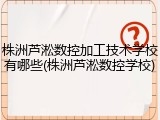 株洲芦淞数控加工技术学校有哪些(株洲芦淞数控学校)