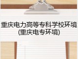 重庆电力高等专科学校环境(重庆电专环境)