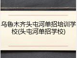 乌鲁木齐头屯河单招培训学校(头屯河单招学校)