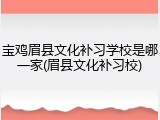 宝鸡眉县文化补习学校是哪一家(眉县文化补习校)