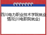 四川电力职业技术学院就业情况(川电职院就业)