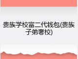 贵族学校富二代钱包(贵族子弟奢校)