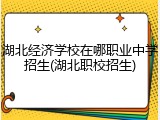 湖北经济学校在哪职业中学招生(湖北职校招生)