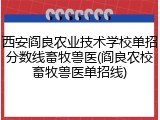 西安阎良农业技术学校单招分数线畜牧兽医(阎良农校畜牧兽医单招线)