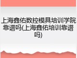 上海鑫佑数控模具培训学院靠谱吗(上海鑫佑培训靠谱吗)