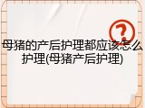 母猪的产后护理都应该怎么护理(母猪产后护理)