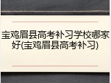宝鸡眉县高考补习学校哪家好(宝鸡眉县高考补习)