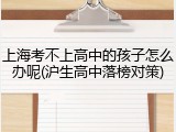 上海考不上高中的孩子怎么办呢(沪生高中落榜对策)