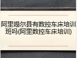 阿里噶尔县有数控车床培训班吗(阿里数控车床培训)