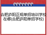 合肥庐阳正规单招培训学校在哪(合肥庐阳单招学校)
