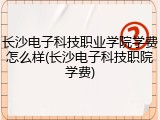 长沙电子科技职业学院学费怎么样(长沙电子科技职院学费)