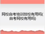网校自考培训技校有用吗(自考网校有用吗)