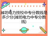 潍坊电力技校中专分数线是多少分(潍坊电力中专分数线)