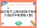 临沂考不上高中的孩子有多少(临沂中考落榜人数)