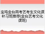 宝鸡金台高考艺考生文化课补习班推荐(金台艺考文化课班)