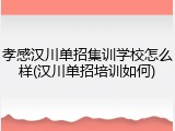孝感汉川单招集训学校怎么样(汉川单招培训如何)