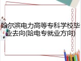 哈尔滨电力高等专科学校毕业去向(哈电专就业方向)