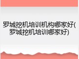 罗城挖机培训机构哪家好(罗城挖机培训哪家好)