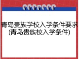 青岛贵族学校入学条件要求(青岛贵族校入学条件)