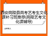 西安高陵县高考艺考生文化课补习班推荐(高陵艺考文化课辅导)