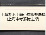 上海考不上高中有哪些选择(上海中考落榜选择)