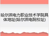 哈尔滨电力职业技术学院具体地址(哈尔滨电院校址)