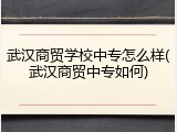 武汉商贸学校中专怎么样(武汉商贸中专如何)