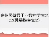 宿州灵璧县工业数控学校地址(灵璧数控校址)