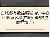 白城哪有数控编程培训中心中职怎么样(白城中职数控编程培训)