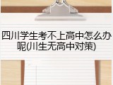 四川学生考不上高中怎么办呢(川生无高中对策)