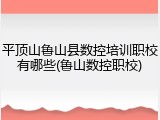 平顶山鲁山县数控培训职校有哪些(鲁山数控职校)
