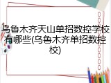 乌鲁木齐天山单招数控学校有哪些(乌鲁木齐单招数控校)