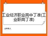 工业经济职业高中丁准(工业职高丁准)